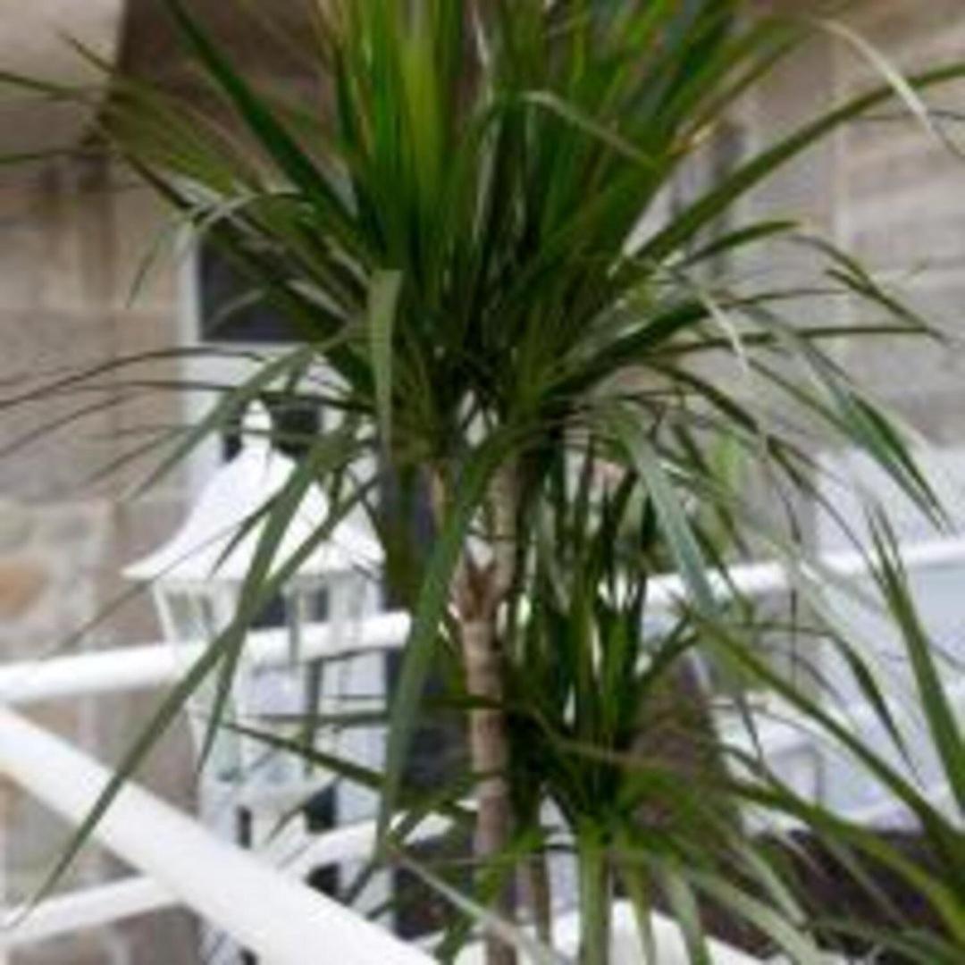 Guestready - Comendador Sto Ildefonso OOporto Extérieur photo